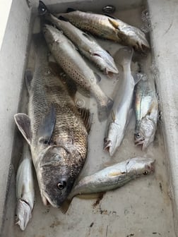 Fishing in Aransas Pass, Texas