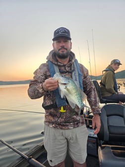 Fishing in Harrison, Tennessee