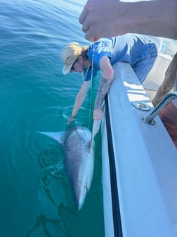 Fishing in Port Orange, Florida