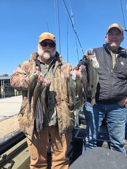 Fishing in Harrison, Tennessee