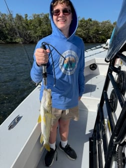 Fishing in Holmes Beach, Florida