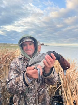 Hunting in Freeport, Texas