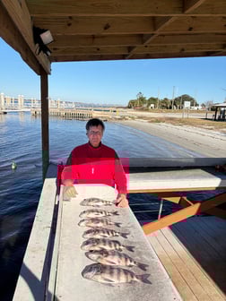 Fishing in Jacksonville, Florida