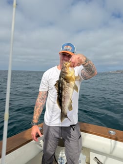 Fishing in Los Angeles, California