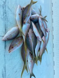 Fishing in Key West, Florida