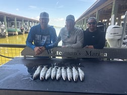 Fishing in Galveston, Texas