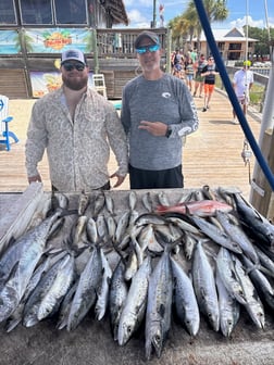 Fishing in Orange Beach, Alabama