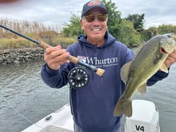 Fishing in Stockton, California
