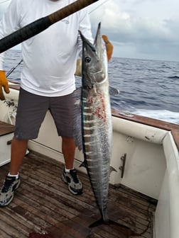 Fishing in Kaiminani, Hawaii