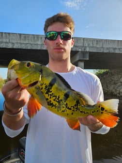Fishing in Fort Lauderdale, Florida