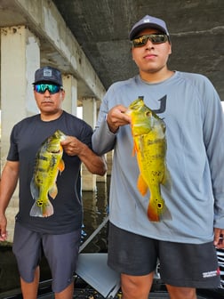 Fishing in Fort Lauderdale, Florida