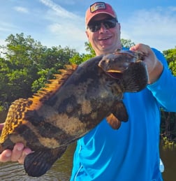 Fishing in Naples, Florida