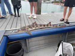 Fishing in Ventura, California