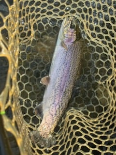Fishing in Broken Bow, Oklahoma