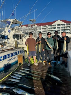 Fishing in Hatteras, North Carolina