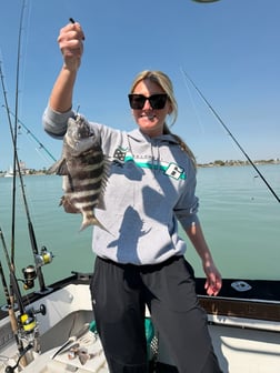 Fishing in St. Petersburg, Florida