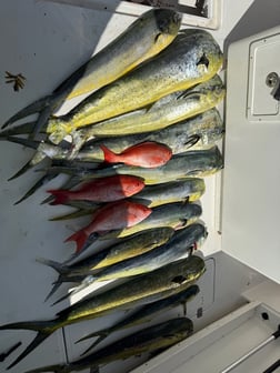 Fishing in Savannah, Georgia
