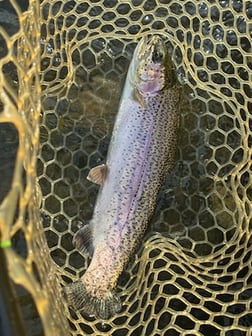 Fishing in Broken Bow, Oklahoma