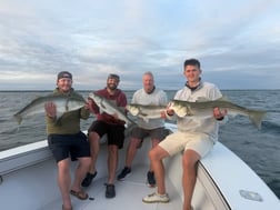 Fishing in Dennis, Massachusetts