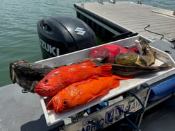 Fishing in Ventura, California