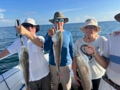Fishing in Port Orange, Florida