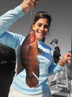 Hunting in Fort Lauderdale, Florida