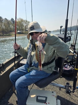 Fishing in Harrison, Tennessee