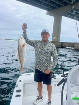 Fishing in Orange Beach, Alabama