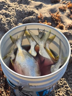Fishing in Melbourne Beach, Florida