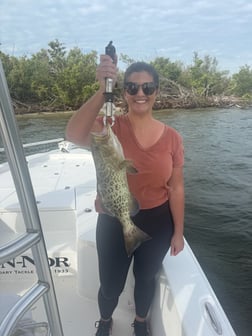 Fishing in Port Charlotte, Florida