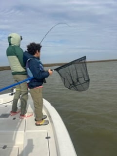 Fishing in Texas City, Texas