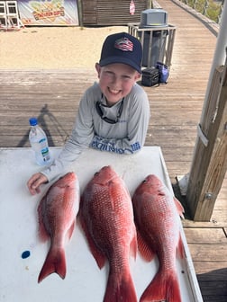 Fishing in Orange Beach, Alabama