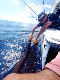 Fishing in Quepos, Costa Rica