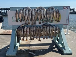 Fishing in Corpus Christi, Texas