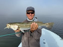 Fishing in Clearwater, Florida