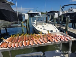 Fishing in St. Petersburg, Florida