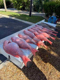 Fishing in Sarasota, Florida