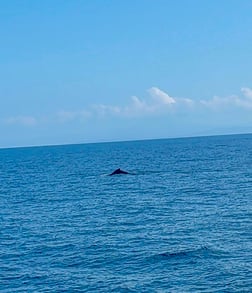 Fishing in Quepos, Costa Rica