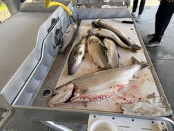 Fishing in Erie, Pennsylvania