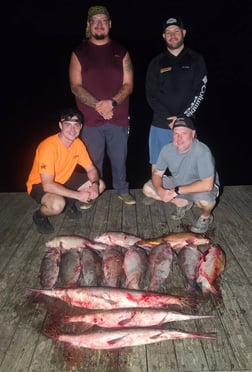 Fishing in Springfield, Missouri