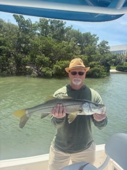 Fishing in Largo, Florida
