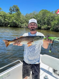 Fishing in Tarpon Springs, Florida