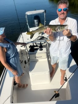 Tarpon Fishing in Islamorada, Florida