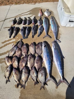 Fishing in Wrightsville Beach, North Carolina