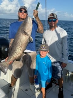 Gag Grouper Fishing in Panama City, Florida