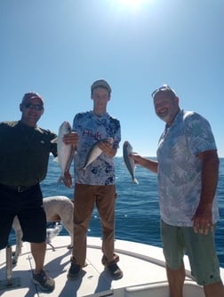 Fishing in Port Charlotte, Florida