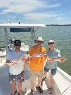 Fishing in Largo, Florida