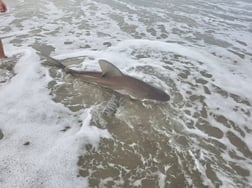 Fishing in Stone Harbor, New Jersey
