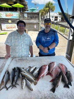Fishing in Orange Beach, Alabama