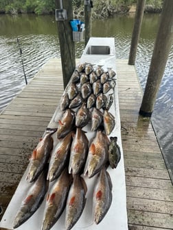 Fishing in Saint Bernard, Louisiana